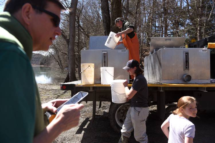 Danielle Cooney, 16, of Thetford, Vt., carries rainbow trout to Kennedy Pond while Alan Moorehouse from the Vermont Fish and Wildlife Salisbury Hatchery prepares another bucket of the two year-old fish to hand off to Helen Burlew, 7, of Ascutney, Vt., on Tuesday, April 9, 2024, in Windsor, Vt. It is the second year that Boy Scout Troop 252, of Springfield, Vt., has stocked the pond with the fisheries department. On the left is Steve Burlew, whose brother is the troop’s scout master. It took about an hour for the 325 trout to be released into Kennedy Pond by the scouts and other volunteers. (Valley News - Jennifer Hauck) Copyright Valley News. May not be reprinted or used online without permission. Send requests to permission@vnews.com.