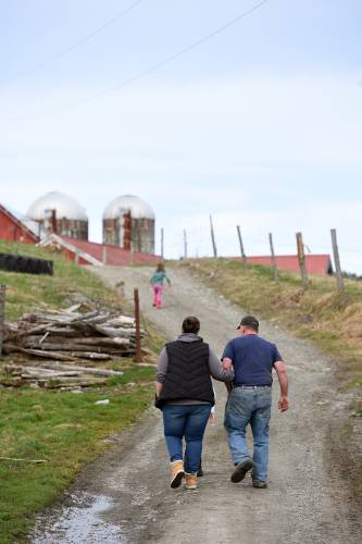 Hannah King, of Cape Cod, Mass., walks with her father George Miller at the family farm on Wednesday, April 17, 2024, in Hartford, Vt. King was visiting with her daughters to see the Jersey dairy cow herd for the last time before they were shipped from Jericho Hill Farm, the last dairy farm in town. Miller and his wife will continue to hay and sugar on the land that George's great-grandfather started in 1907. (Valley News - Jennifer Hauck) Copyright Valley News. May not be reprinted or used online without permission. Send requests to permission@vnews.com.