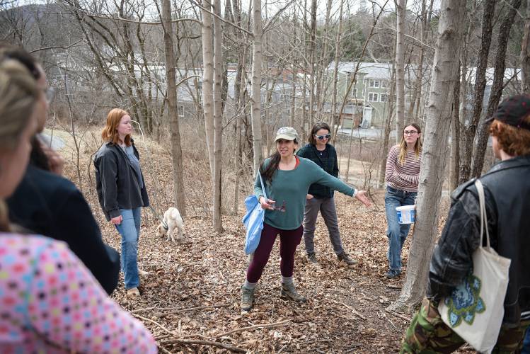Emily Sigman, center, points out a homemade sap bucket on a maple tree in North Bennington, Vt., to a group of Bennington College students helping her gather samples at a site with known PFAS contamination on Thursday, March 20, 2025. “Virtually everywhere we’re sampling, I find people are tapping,” she said. “The results of this study are directly relevant for whoever this person is,” she said. Audrey Lang is at left, Bennington College faculty member Caitlin McDonough-Mackenzie, is second from right, and Calder Ray-Fearon is at right. (Valley News - James M. Patterson)
