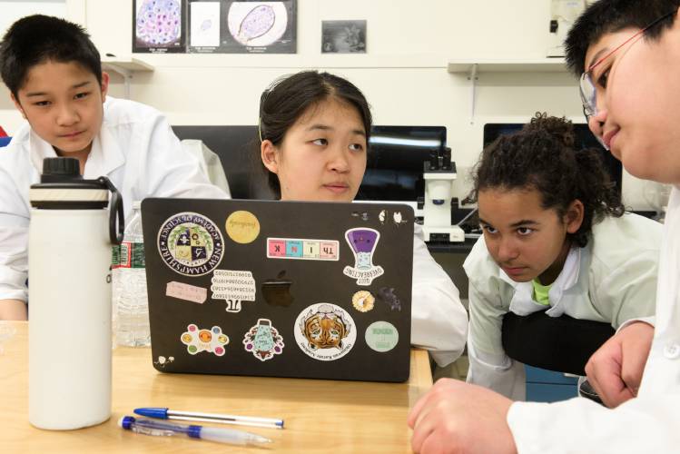 New Hampshire Academy of Science students, from left, Ian Sun, 13, of Hanover, Grace Lan, 13, of Hanover, Shea Hill, 12, of Lyme, and Sun’s twin Kevin, work on a poster to present the results of their research on orchids in Lyme, N.H., on Thursday, April 11, 2024. The four attended the World Orchid Conference in Taiwan last February where they were awarded a grant for young researchers for sequencing the genetics of orchids to learn about how genetic diversity affects wild populations of the plants, and for documenting microscopic images of plant tissues grown in their lab. (Valley News - James M. Patterson) Copyright Valley News. May not be reprinted or used online without permission. Send requests to permission@vnews.com.