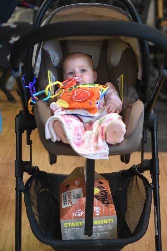 Six-month-old Ara Rasor sits above a box of new chicks while her mother Joelle Rasor, of Thetford, Vt., pays for them at West Lebanon Feed & Supply on Thursday, April 3, 2025. The family is adding 20 chicks to their flock of 11 chickens.  (Valley News-Jennifer Hauck)