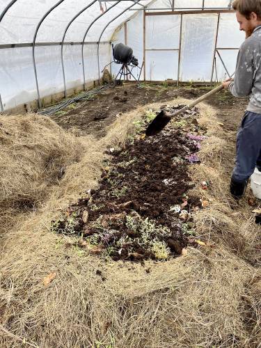 Pierre Hahn, Co-founder of Sweet Beet Farm in Bradford, preps the compost piles 