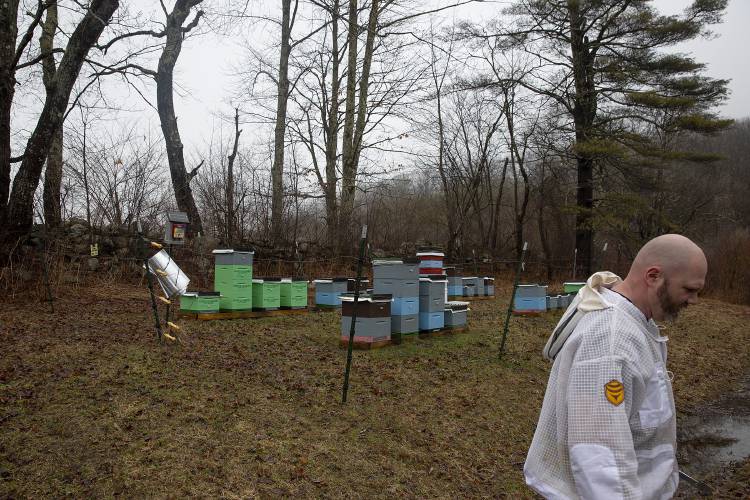 Brian Jasinski, of Windsor, Vt., visits one of his apiaries in Weathersfield, Vt., on Monday, March 31, 2025. 