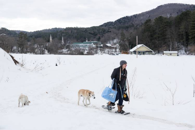Dartmouth College researcher Emily Sigman snowshoes with her dogs Filbert, left, and Toly, right, to a maple sap sampling site in Vermont that was once littered with junk cars on Wednesday, Feb. 26, 2025. With a grant from the USDA Acer (the genus of maple) Access and Development program, she is studying how to safely expand access to non-commercial maple sugaring at sites that are likely to have contaminated soil.
(Valley News - James M. Patterson)